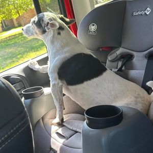 Meet your Posher, Dusty